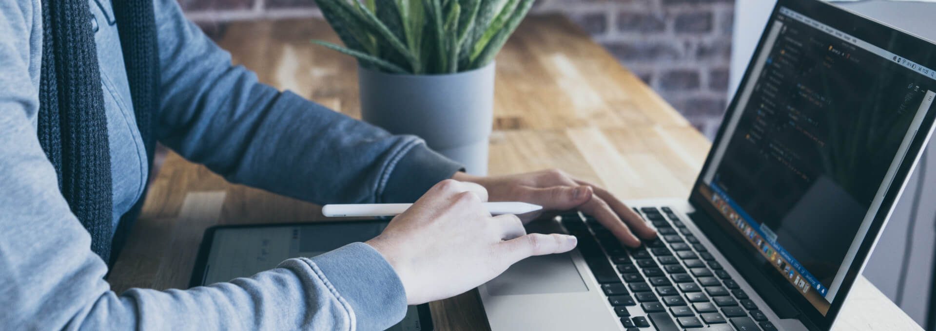 a person using a laptop computer with a plant on the table at The Allure