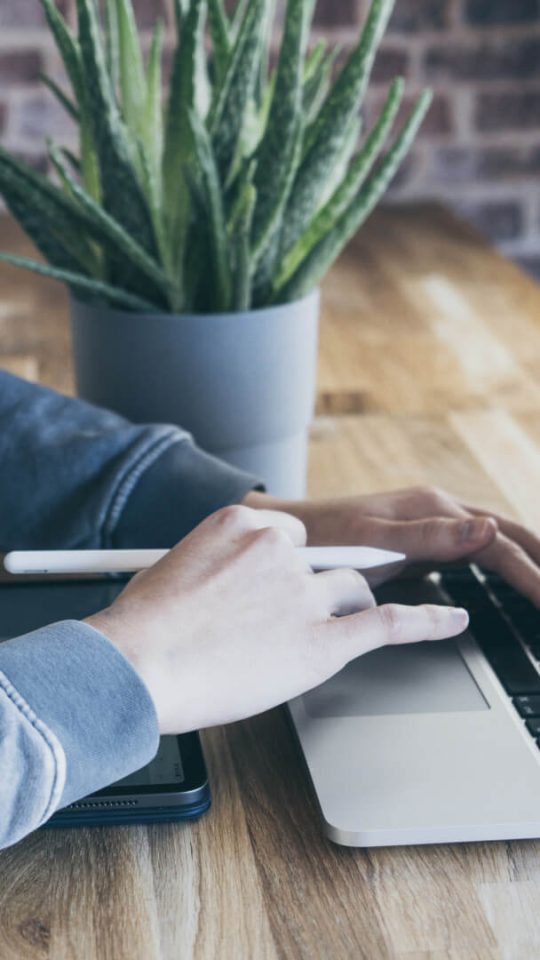 a person using a laptop computer with a plant on the table at The Allure